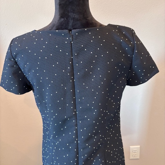 Ann Taylor Swiss Polka Dot Sheath Dress, size 8, Church Office Girly Staple - Picture 6 of 13